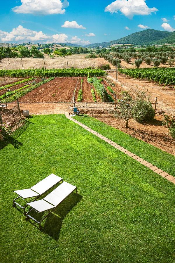 Poggiolivi Agriturismo Bio In Maremma Alberese Exterior foto