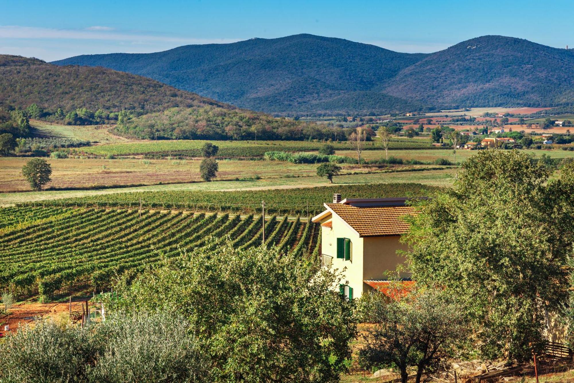 Poggiolivi Agriturismo Bio In Maremma Alberese Habitación foto